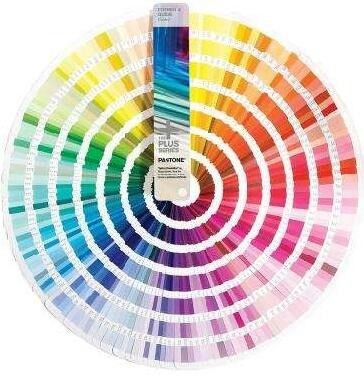 Pulvérisateur en plastique Flasque de pulvérisation de brouillard en PET avec impression couleur personnalisée et capacité de 100 ml